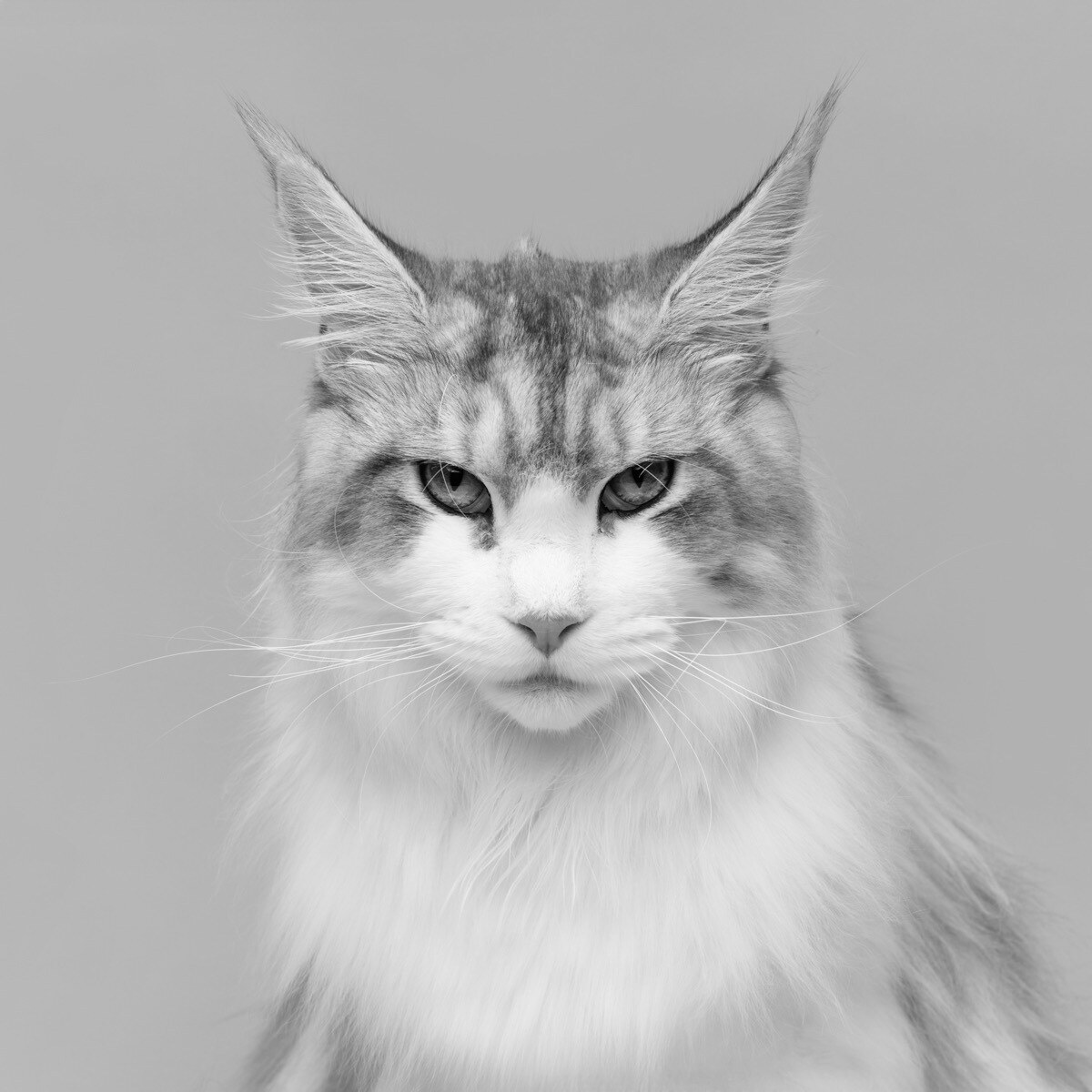 Holly professional headshot