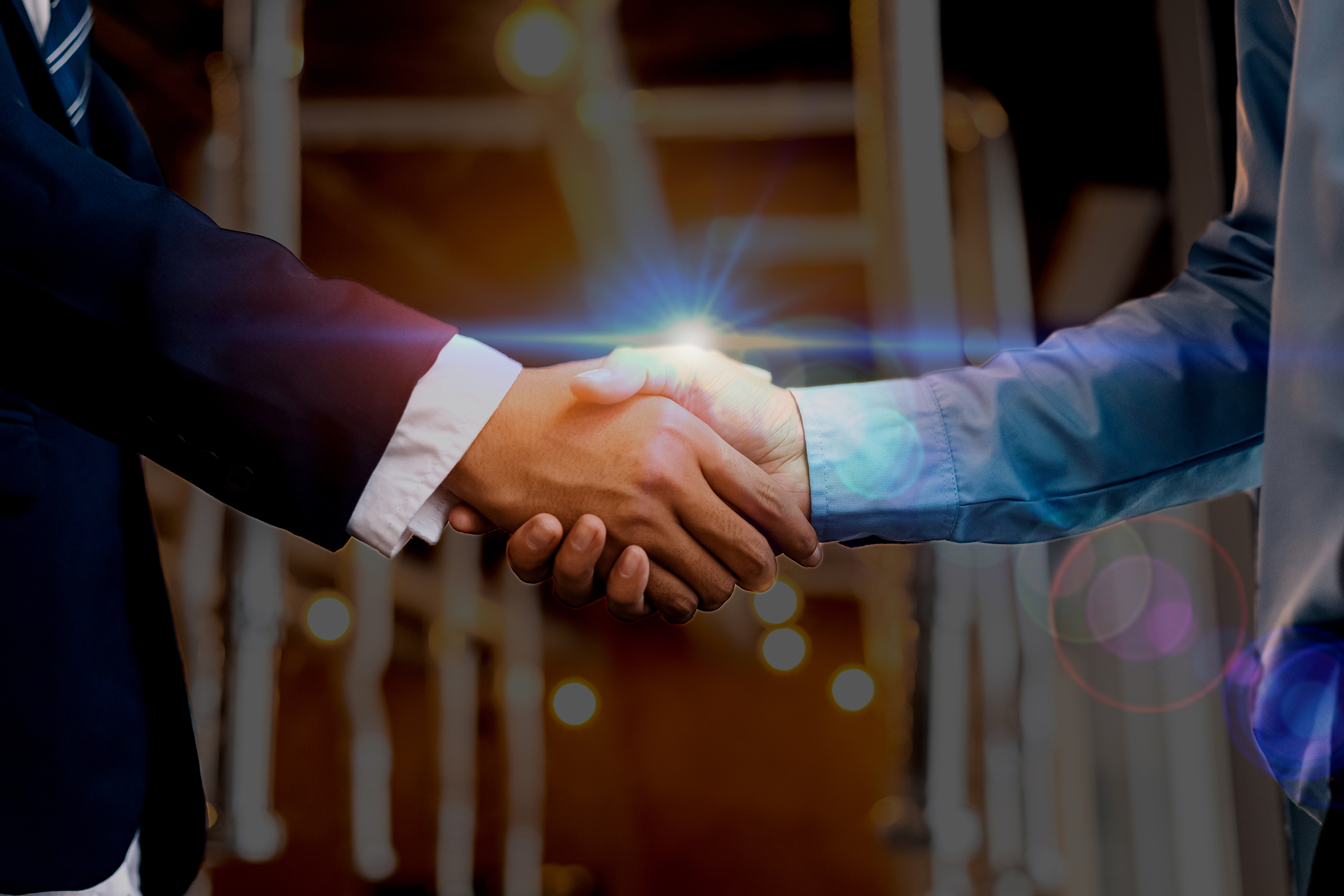 Business Hand shake S