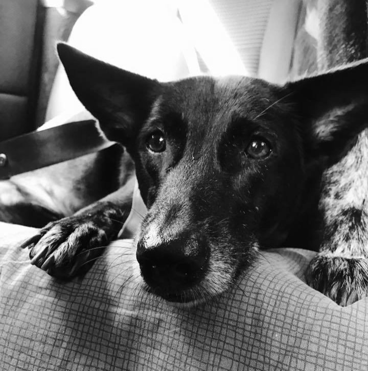 Conchita professional headshot