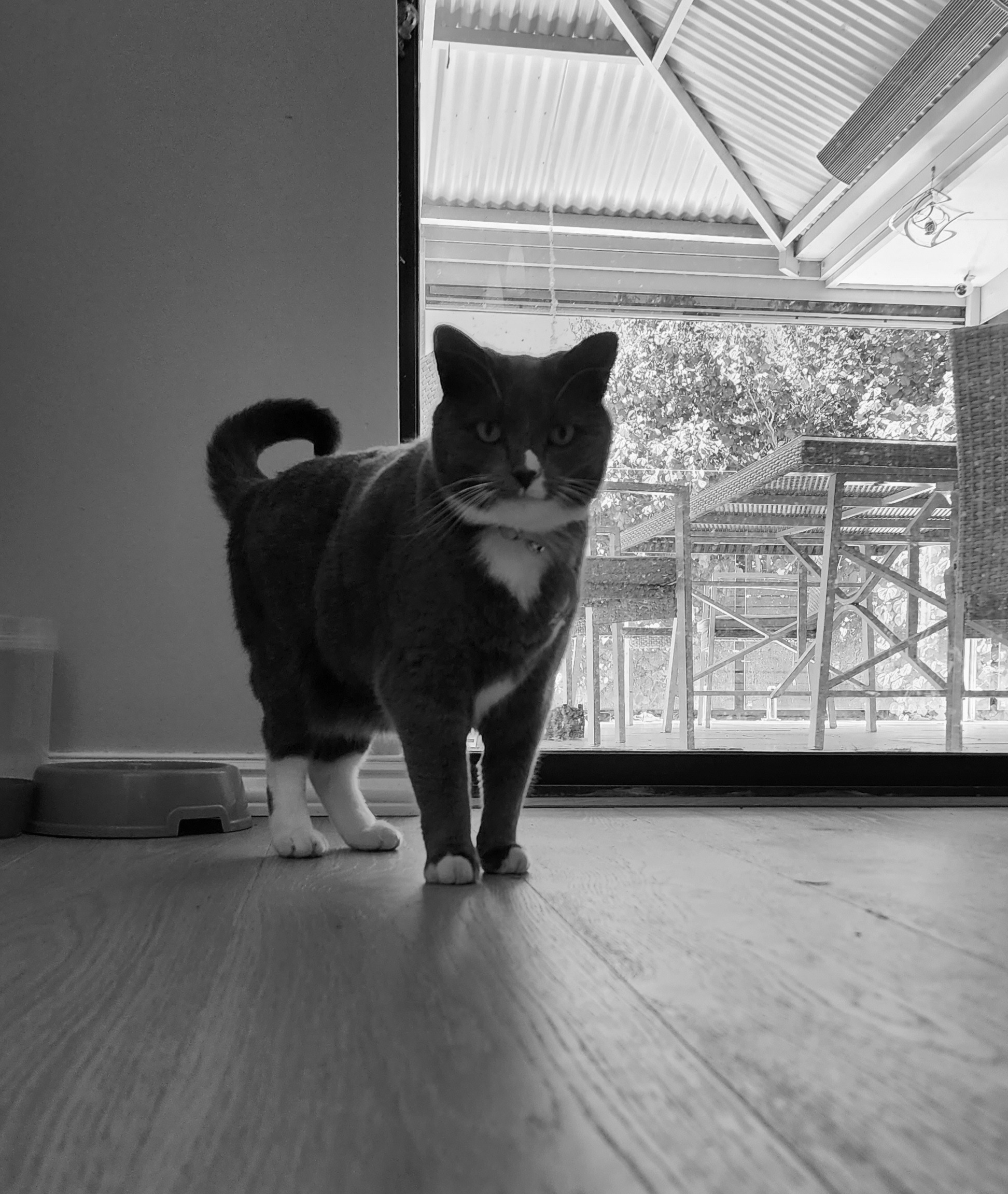 Franki professional headshot