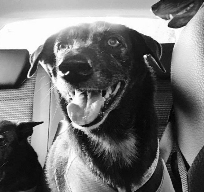 Negrita professional headshot