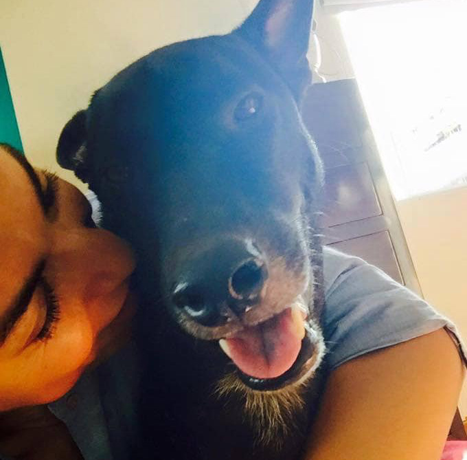 Panchito fun headshot