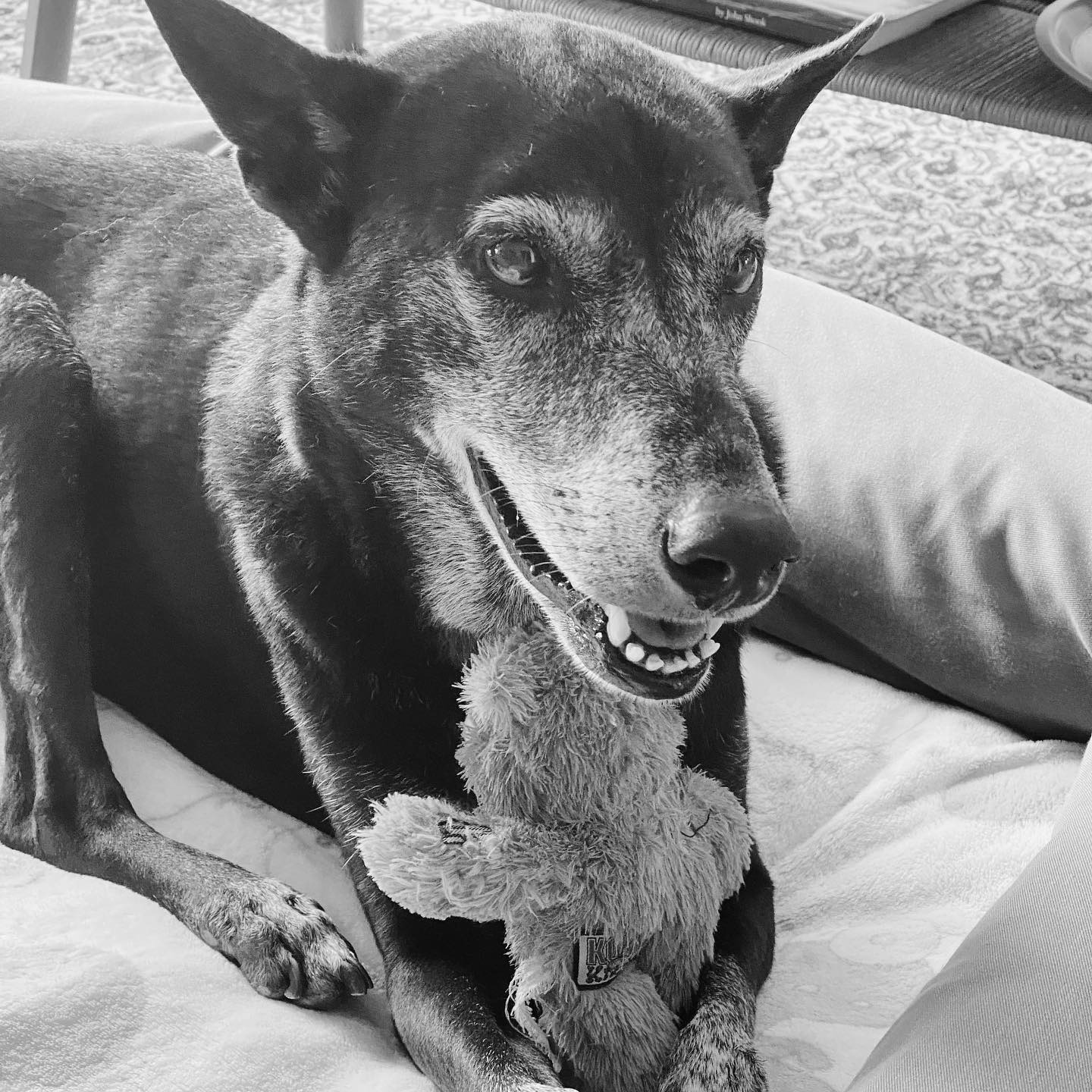 Panchito professional headshot