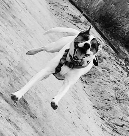 Sven professional headshot